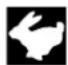 VIKING MB 448 TC - Koble inn fremdriften: - 2