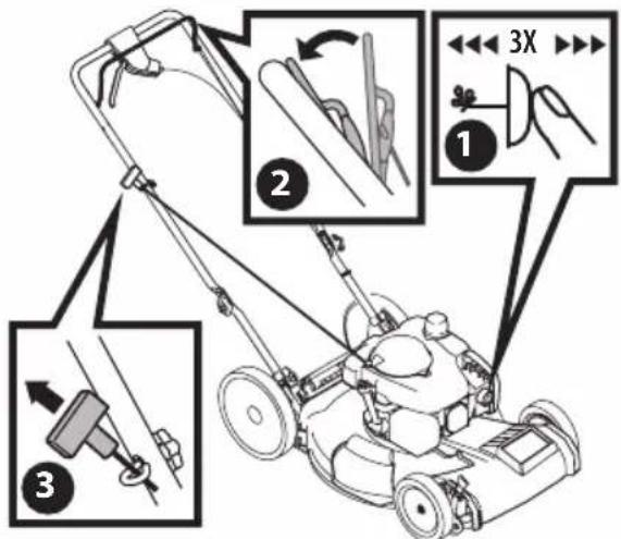 TROY-BILT TB115 - SYSTÈME D'ÉTRANGLEUR AUTOMATIQUE AVEC LANCEUR OU AVEC DÉMARREUR ÉLECTRIQUE - 2