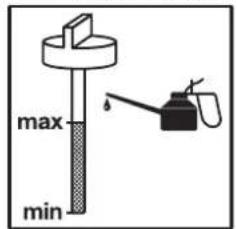 EINHELL GEPM 51 S B&S - Calistirmadan once: - 1