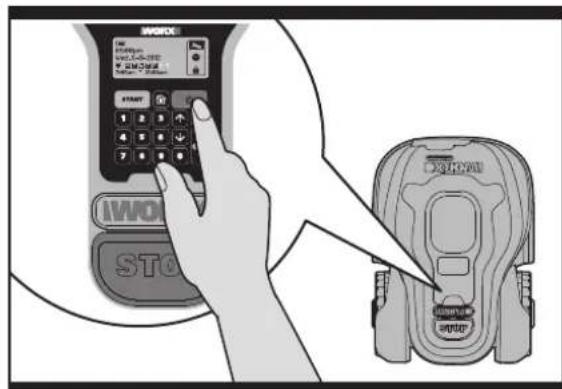 WORX Landroid WG794 - Avvio e arresto durante la tosatura - 2