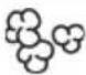 SEVERIN MW 7877 - Automatic cooking programmes - 3