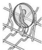 WHIRLPOOL WDT920SADM - To move a clip - 1