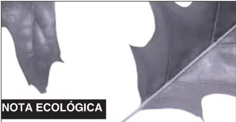 FAGOR FS3611 IT - ADVERTÉNCIAS - 1