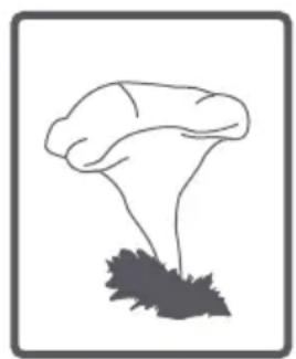 FAGOR FE7214B - Tambor - 16