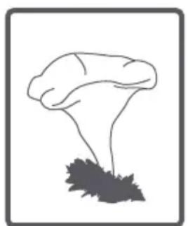 FAGOR FE7214B - Tambor - 16