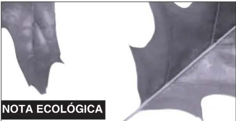 FAGOR 2F2609LX - UTILIZACION DEL DETERGENTE Y LOS ADITIVOS - 4