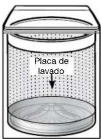 KENMORE 110.31632 - Limpieza con menos agua - 2