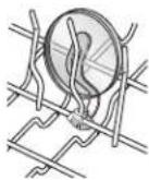 KITCHENAID Architect KDTE104DWH - Pour déplacer une attache : - 1