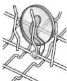 JENN-AIR JDB9800CWS TriFecta - Light Item Clips - 1