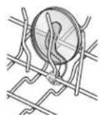 JENN-AIR JDB9000CWS TriFecta - Sujetadores de articulos livianos - 1