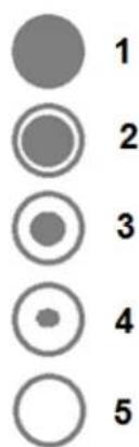 PKM DW12A++7 - Filling of the rinse aid container - 1