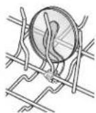 MAYTAG MDB8979SFZ - Cup Clips - 1