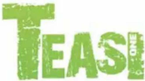 A-Rival Teasi One 2 - Garantie - 1