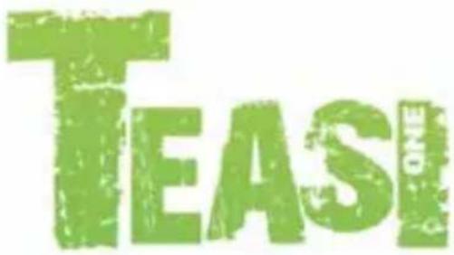 A-Rival Teasi One 2 - Garantie - 1