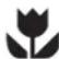 ZANUSSI ZTE 240 - Child safety - 1