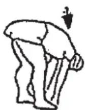 Christopeit HT 3 - Warm up exercises (Warm Up) - 2