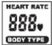 Christopeit AM 6 - HEART RATE / ИНДИКАЦИЯ ПУЛЬСА/ТИП ТЕЛА: - 1