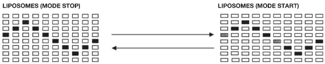 Christopeit CX 4 - PROGRAMME CONTRÔLE DE WATT - 2