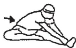Christopeit CT 1 - Warm up exercises (Warm Up) - 3