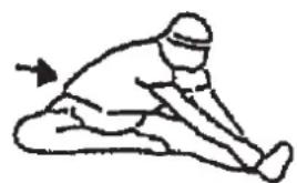 Christopeit CT 1 - Exercices d'échauffement (Warm Up) - 3