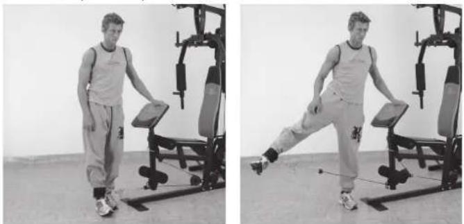 Christopeit Profi Center de Luxe - Ubung 11 - 1