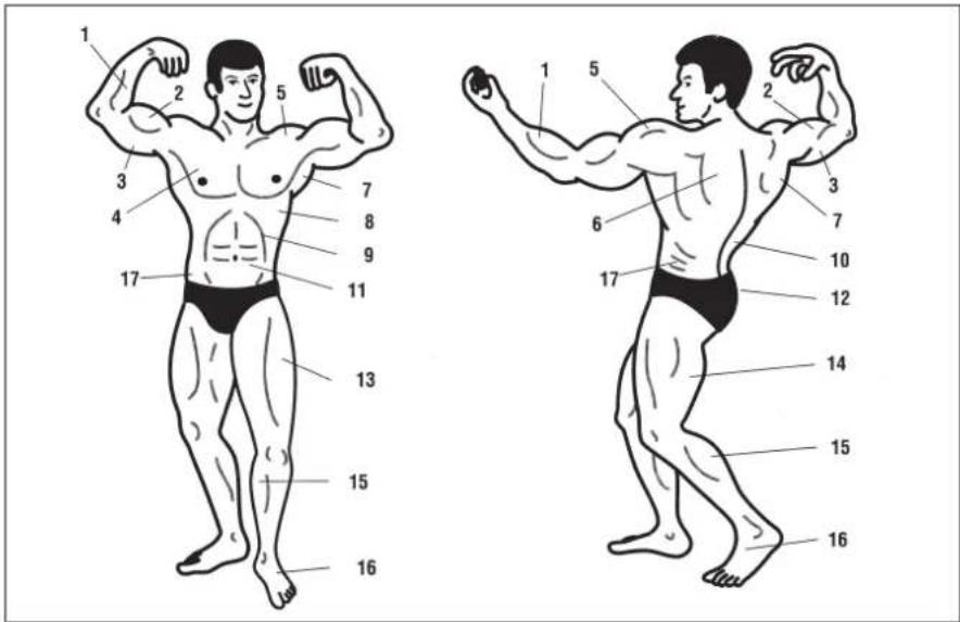 Christopeit Profi Center de Luxe - Schnittstellung Sitzposition - 2