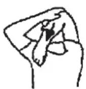 Christopeit Cambridge II - Warm up exercises (Warm Up) - 1