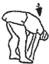 Christopeit Cambridge II - Zahrvacicen (zahrati) - 2