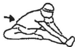 Christopeit Cambridge II - Exercices d'échauffement (Warm Up) - 3