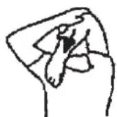 Christopeit Cambridge II - Aufwärmbüungen (Warm Up) - 1