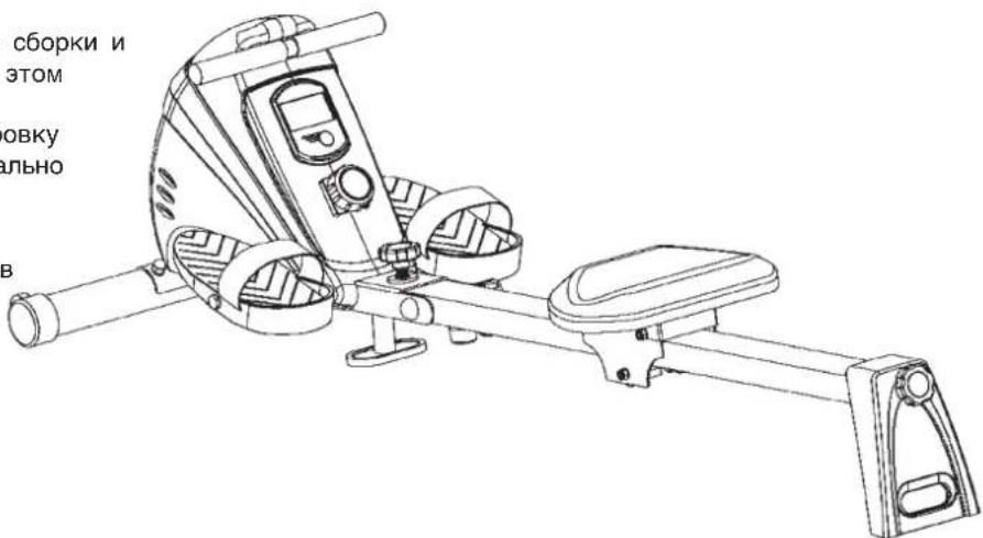 Christopeit Cardiff - War 3: - 4