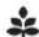 SHARP SJGC700VBK - Displej pro symbol funkce2. - 2