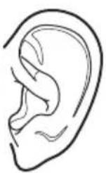 JUNO JCU15820S5 - NOISES - 2