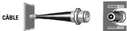 SANYO DP46841 - BRANCHEMENT D'ANTENNE AERIENNE OU CABLE - 2