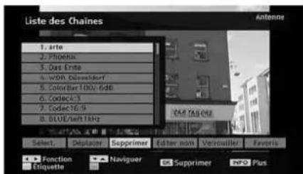 Liste des Chaines Antenna 1. arte 2. Phoenix 3. Das Erte 4. WPB Ginsfeldorf 5. Color Bar 100V-6dB 6. Codex 1 7. Codex 16.9 8. BLUE/Soft1kHz Select. Déplacer Supprimer Edter non Verwalier Favors Function Naviguer Supprimer INFO Plus Etiquette