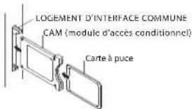 HAIER LET46C800HF - Avertissement - 1