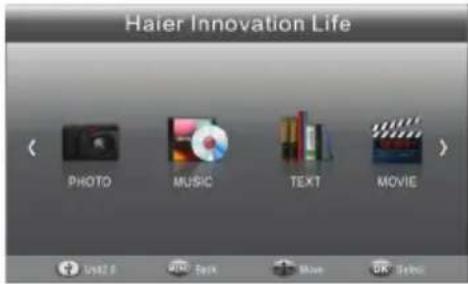 HAIER LET24T1000HF - Lettore USB - 1