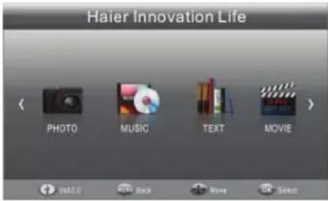 HAIER LET24T1000HF - USB-speler - 1