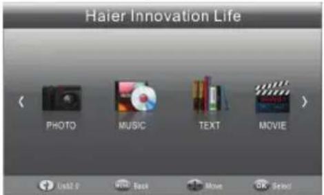 HAIER LET24T1000HF - Reproductor USB - 1