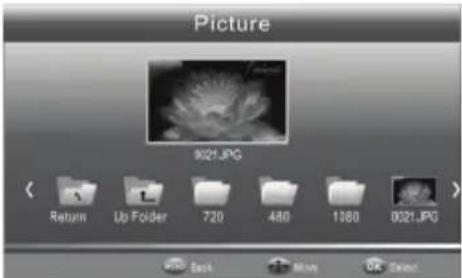 HAIER LET24T1000HF - Lecteur USB - 3