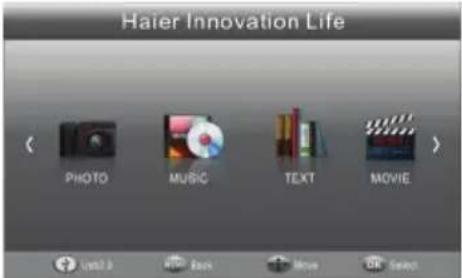 HAIER LET24T1000HF - Lecteur USB - 1