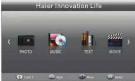 HAIER LET19T1000H - Reproductor USB - 1
