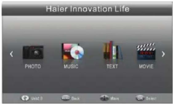 HAIER LET19T1000H - USB-Player - 1