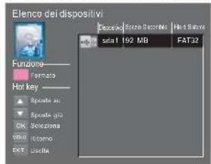 HAIER LE29C810C - INFO (tasto verde) - 3