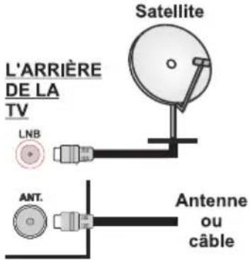 Finlux 32FLZ189S - Branchement de l'antenne - 1