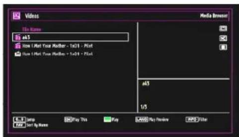 SCHAUB LORENZ 32LT33 - Media Playback Using Media Browser - 2