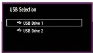 SCHAUB LORENZ 32LT32 - Media Playback Using Media Browser - 2