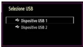 SCHAUB LORENZ 32LT32 - Riproducione di file multimediai servendosi di Browser Multimediae - 2