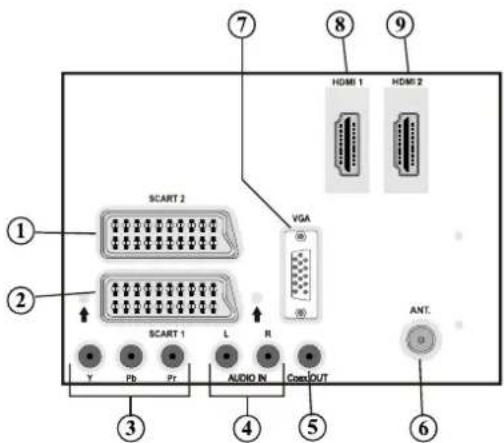 SCHAUB LORENZ 32LT32 - Affi chage des branchements lateraux arriere - 1