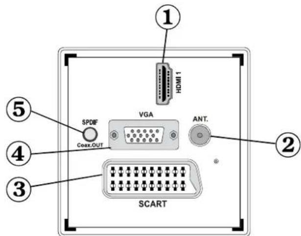 SCHAUB LORENZ 32LT30 - Affi chage des branchements lateraux arriere - 1